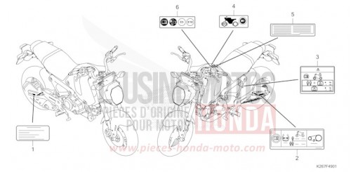 WARNETIKETT (3FO,4FO,5FO,2ED,ED,U) MSX125AN de 2022